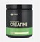 Креатин ON Micronized Creatine 100 капс. 15873